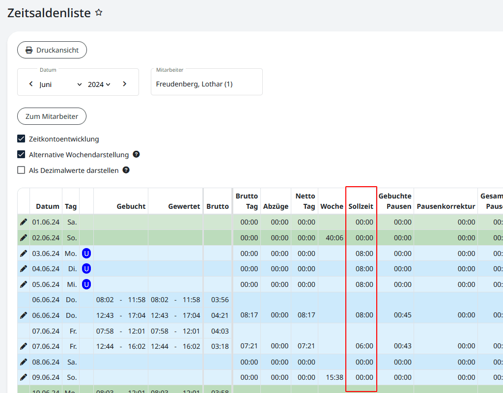 Ansicht der Zeitsaldenliste